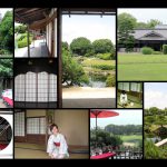 Japanese garden Korakuen, Okayama Japan