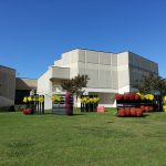 Kiku Matsuri  at UTD