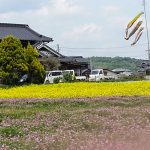 Carp streamer flying in the sky