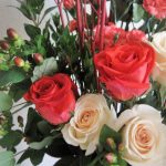 Rose for thanksgiving