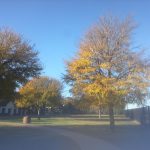 The sky is so blue and it's so cold.