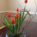 Eucalyptus inside a glass vase