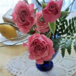 Flowers are supplements for your mind.