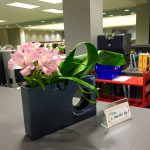 or your beautiful day!