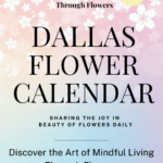 Dallas Flower Calendar by Ikebana Lover, Practitioner, and Teacher in Dallas